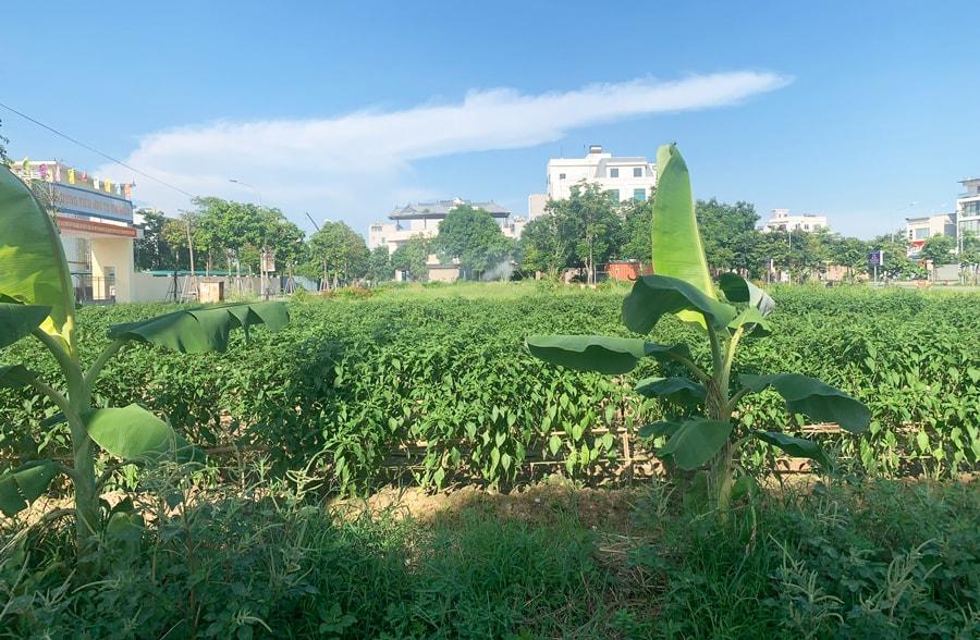 Lực lượng chức năng kiểm tra sản phẩm nước hoa có dấu hiệu làm giả tại một cơ sở kinh doanh ở phường Hoàn Kiếm.
