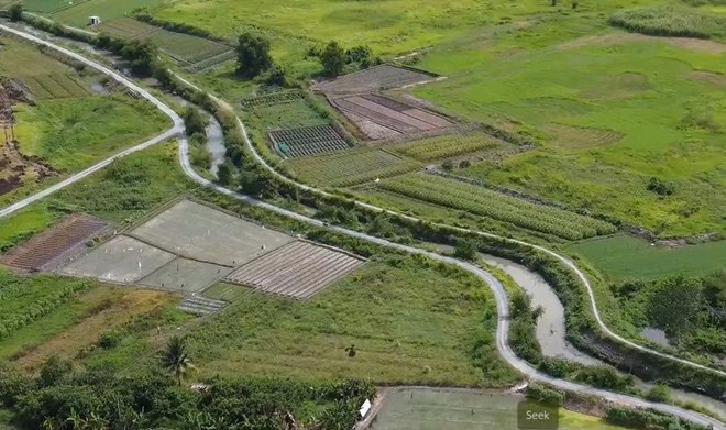 Đầu tư hàng nghìn tỉ đồng khắc phục ngập úng cục bộ khu vực 2 con suối tại TPHCM