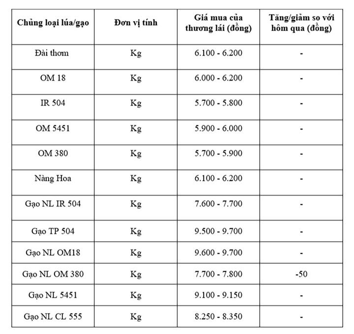 Bảng giá mang tinh tham khảo.