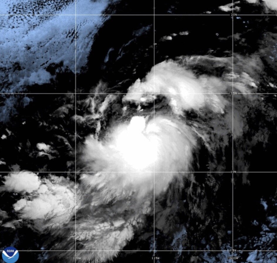 Bão Gil dự báo thành bão cuồng phong trong ngày 1.8. Ảnh: NOAA