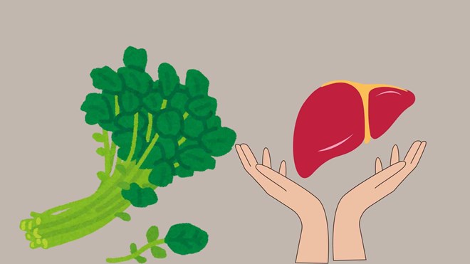 Ngạc nhiên với công dụng thải độc gan của loại rau quen thuộc