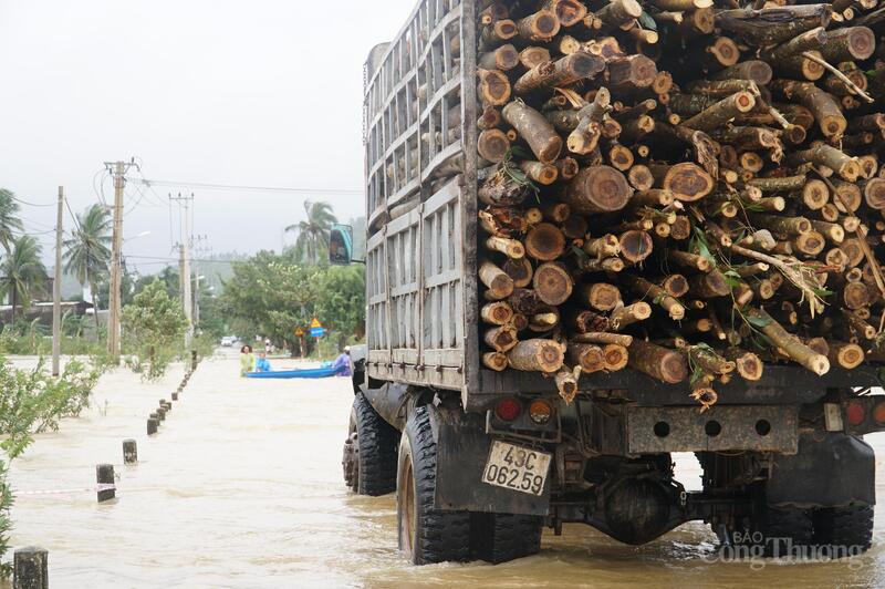 Ông Nguyễn Thúc Dũng, Chủ tịch UBND phường Hải Vân cho biết, trên địa bàn toàn phường có khoảng 50 hộ bị ngập sâu phải sơ tán.