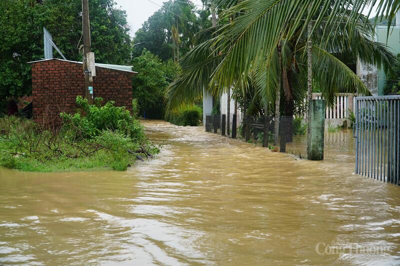 Thôn Trường Định, nhiều hộ ngập sâu đến 1,2m, khi nước dâng cao có thể đến hơn 1,5m.