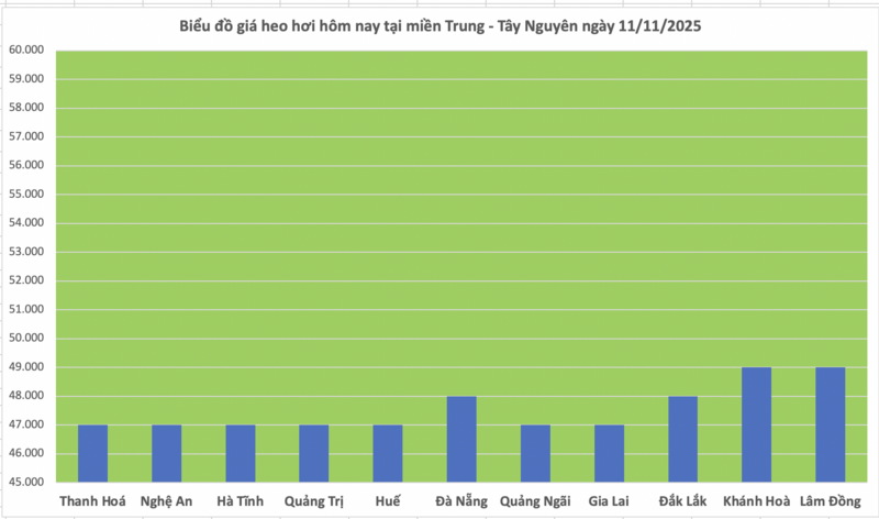 Giá heo hơi hôm nay 11/11/2025: Đồng loạt giảm 1.000 đồng/kg - 2