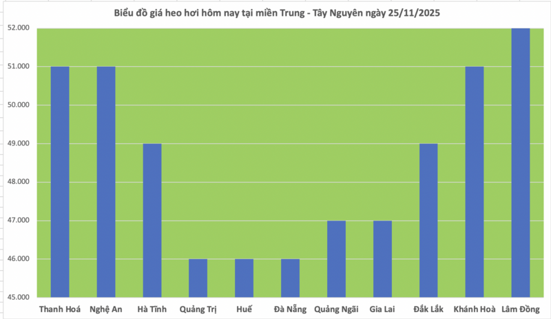 Giá heo hơi hôm nay 25/11/2025: Đồng loạt tăng  - 2