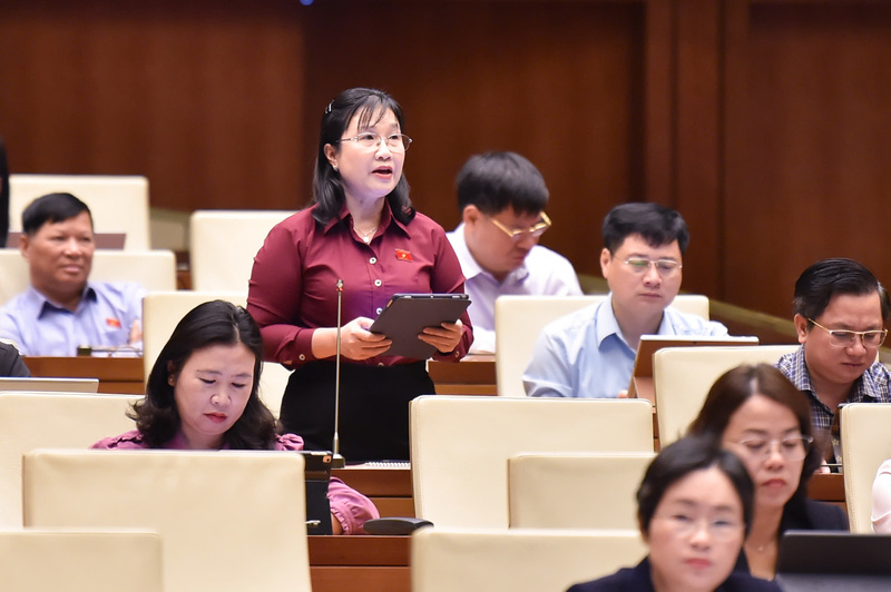 Đại biểu Nguyễn Hoàng Uyên - đoàn Tây Ninh.