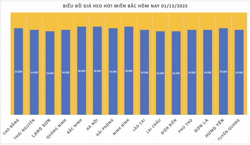 Giá heo hơi hôm nay 01/12/2025: Tiếp đà tăng, đạt mốc mới  - 1