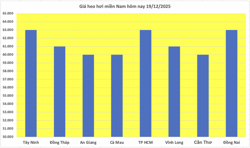 Giá heo hơi hôm nay 19/12/2025: Miền Bắc lập đỉnh mới 68.000 đồng/kg - 3