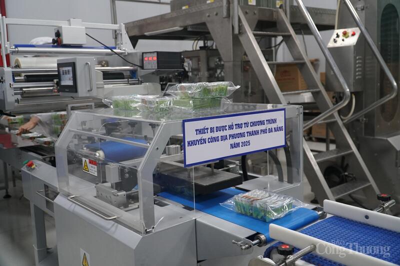 Dây chuyền máy đóng gói tại Công ty TNHH Mỹ Phương Food