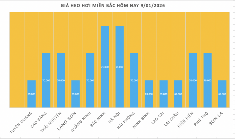 Giá heo hơi hôm nay 9/1/2026: Tiếp đà tăng giá, lập đỉnh mới - 1