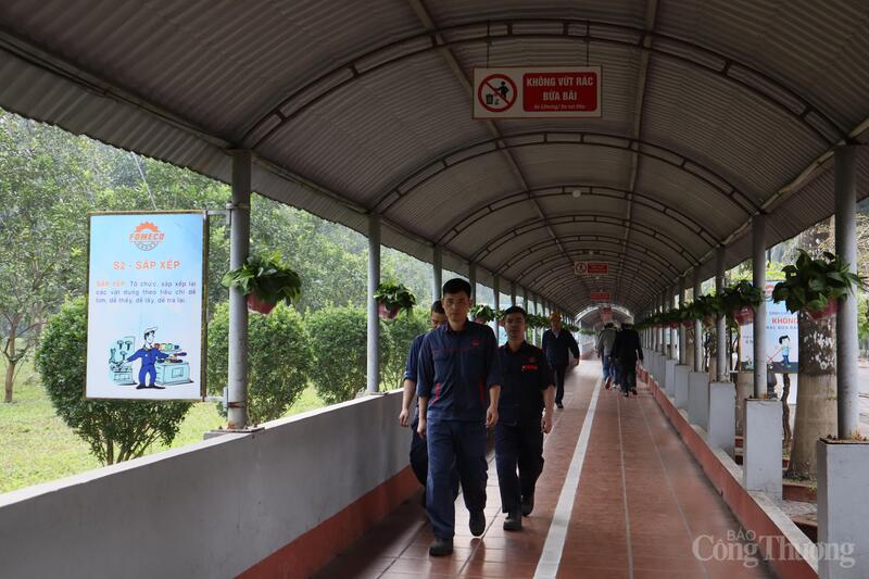 Không gian xanh, sạch tại Fomeco. Ảnh: Hoa Quỳnh