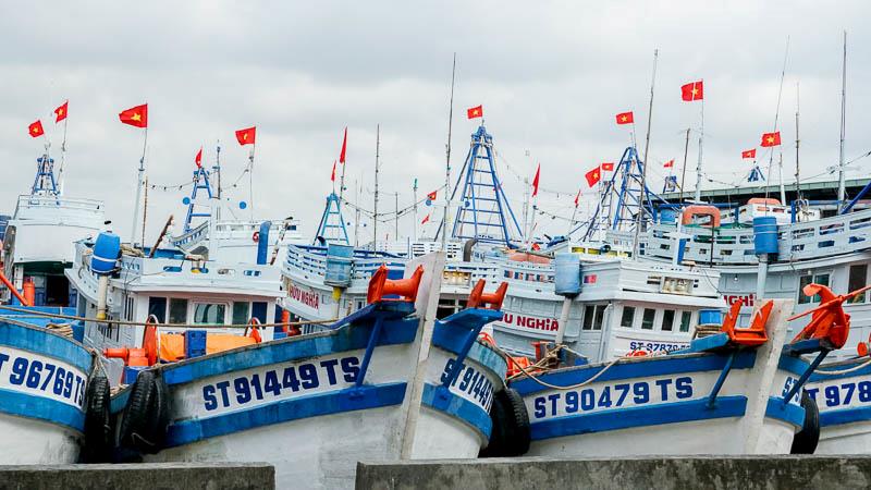Tàu cá cập Cảng Trần Đề (TP Cần Thơ) trước kỳ nghỉ Tết Nguyên đán 2026. Ảnh: Phương Anh