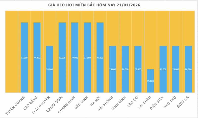 Giá heo hơi hôm nay 21/1/2026: Tiếp đà tăng, lập 'đỉnh' mới - 1