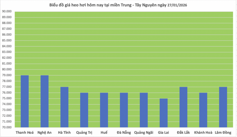 Giá heo hơi hôm nay 27/1/2026: Tăng mạnh, miền Bắc lập 'đỉnh' mới - 2