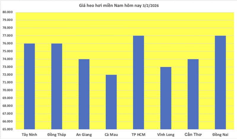 Giá heo hơi hôm nay 3/2/2026: Giảm mạnh trên cả nước - 3