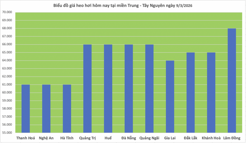 Giá heo hơi hôm nay 9/3/2026: Đang trên đà giảm - 2