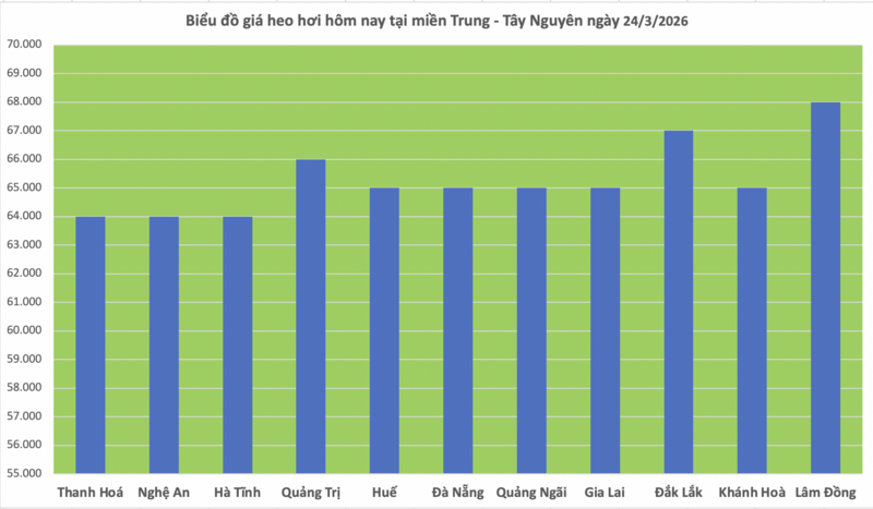 Giá heo hơi hôm nay 24/3/2026: Giảm diện rộng tại miền Bắc - 2