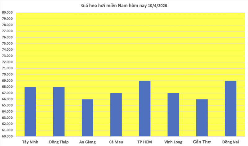 Giá heo hơi hôm nay 10/4/2026: Giữ đà bình ổn - 3