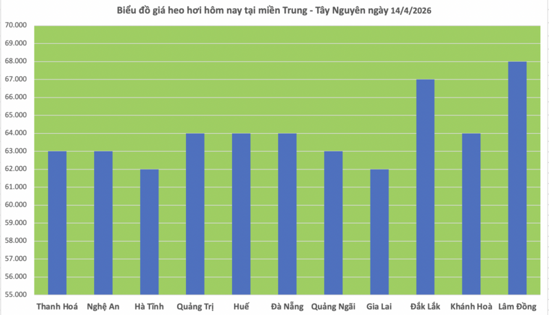 Giá heo hơi hôm nay 14/4/2026: Tiếp tục neo cao - 2