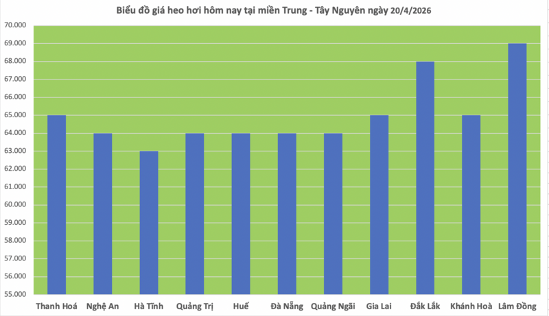 Giá heo hơi hôm nay 20/4/2026: Tăng nhẹ tại miền Trung - 2