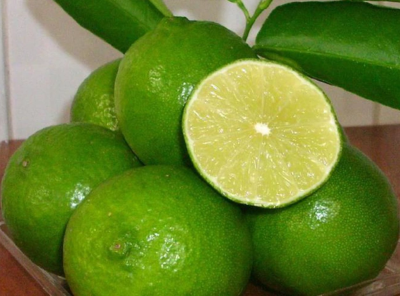 Giá chanh tại Đồng bằng sông Cửu Long đã giảm từ 7.000 - 13.000 đồng/kg. Ảnh minh hoạ