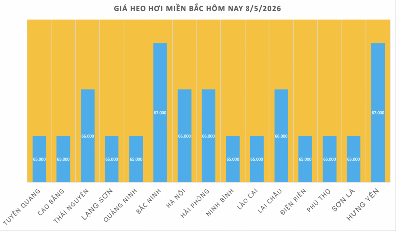 Giá heo hơi hôm nay 8/5/2026: Tăng diện rộng tại miền Bắc, miền Trung - 1
