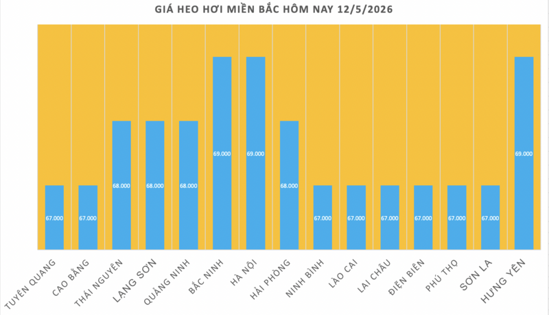 Giá heo hơi hôm nay 12/5/2026: Biến động trái chiều - 1