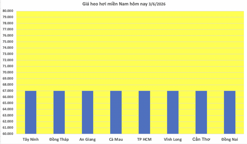 Giá heo hơi hôm nay 3/6/2026: Đi ngang trên cả nước - 3