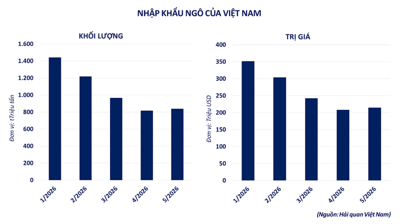 Nhập khẩu ngô của Việt Nam. Nguồn: MXV