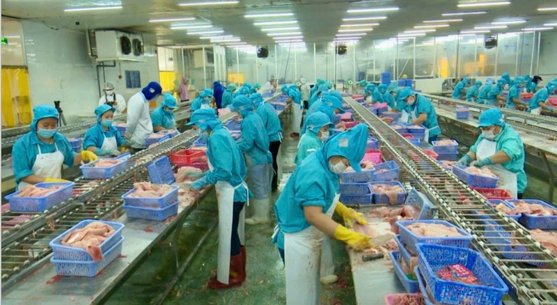 Nhiều doanh nghiệp tại Cần Thơ đang phải đối mặt với một thách thức lớn, thiếu hụt lao động. Ảnh: Khánh Ngọc.