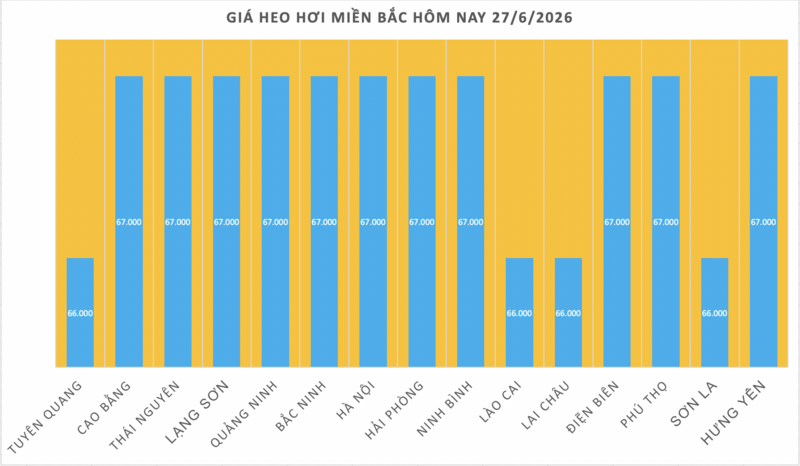 Giá heo hơi hôm nay 27/6/2026: Đồng loạt giảm tại miền Bắc - 1