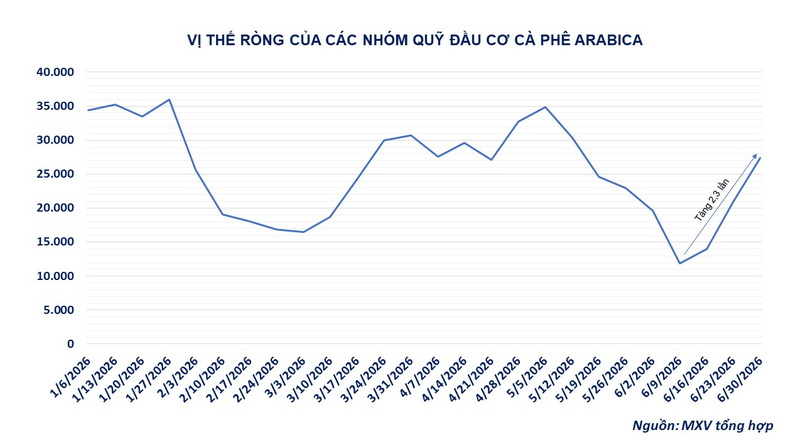 Vị thế ròng của các nhóm quỹ đầu cơ cà phê Arabica