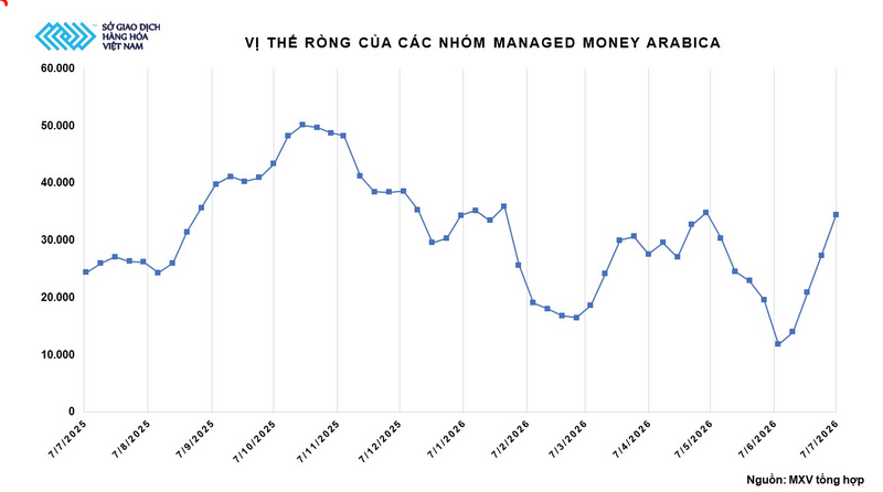 Vị thế ròng của các nhóm Managed Money Arabica. Nguồn: MXV