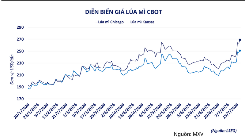 Diễn biến giá lúa mì CBOT