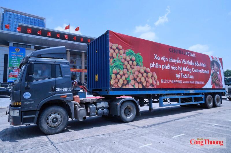 Bắc Ninh đã có một vụ vải thành công với doanh thu từ vải và dịch vụ phụ trợ đạt hơn 9.000 tỷ đồng. Ảnh: Khoa Trần