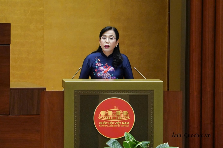 Chủ nhiệm Ủy ban Khoa học, Công nghệ và Môi trường của Quốc hội Nguyễn Thanh Hải trình bày báo cáo tóm tắt thẩm tra dự án luật.