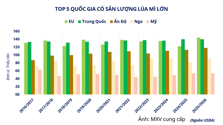 Top 5 quốc gia có sản lượng lúa mì lớn