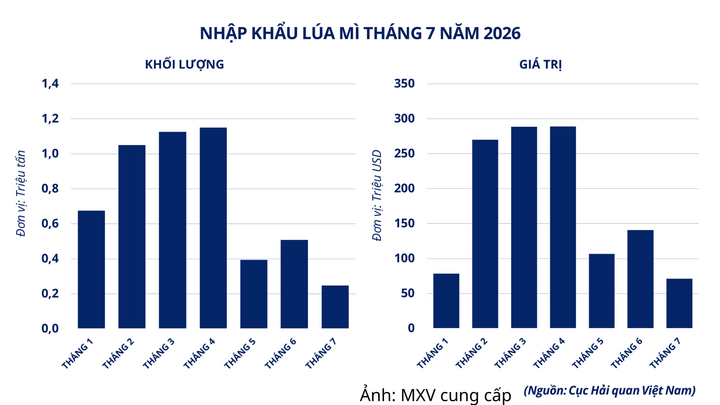 Nhập khẩu lúa mì tháng 7/2026