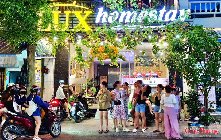 Dịch vụ cho thuê xe tạo thuận lợi cho khách tự túc trong quá trình khám phá Quy Nhơn và các khu vực lân cận.