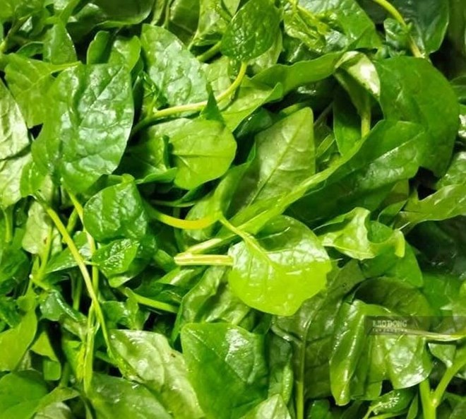 Những điều cần lưu ý khi bổ sung magie ở người mất ngủ