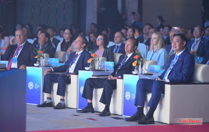 Tại hội nghị, các đại biểu trong nước và quốc tế tập trung trao đổi về vai trò chủ động của chính quyền địa phương trong tổng thể chính sách đối ngoại quốc gia.