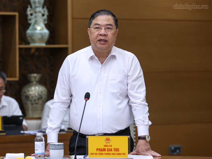 Phó Thủ tướng Thường trực Phạm Gia Túc phát biểu - Ảnh: chinhphu.vn/Nhật Bắc