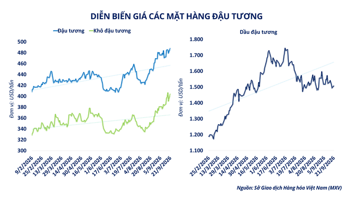 Diễn biến giá nhóm họ đậu.