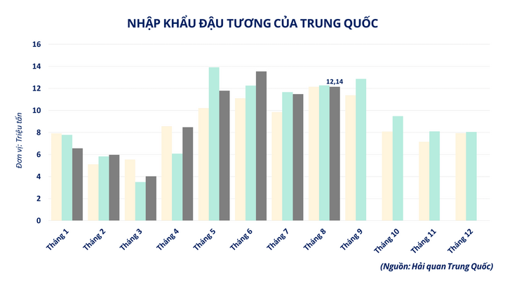 Nhập khẩu đậu tương của Trung Quốc.