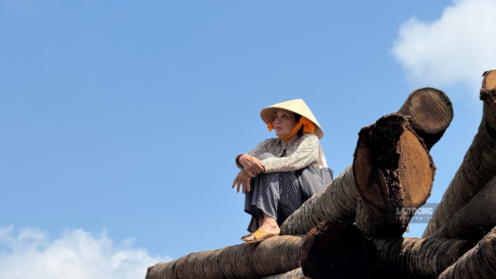 Bà Nga ngồi thẫn thờ bên hàng cừ dừa, phía sau là vườn cây đang chịu ảnh hưởng bởi nước ngập. Ảnh chụp ngày 28.9.2026 tại cồn Cái Gà, xã Chợ Lách. Ảnh: Hoàng Lộc