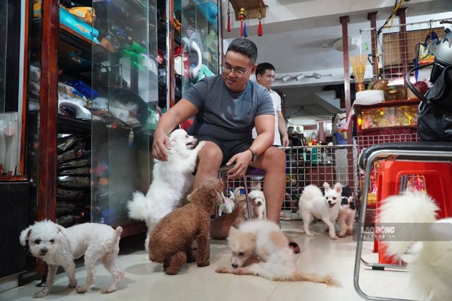 Nhiều người giả làm chủ, dùng cả AI để nhận vơ chó mèo tại trạm cứu hộ ở TPHCM
