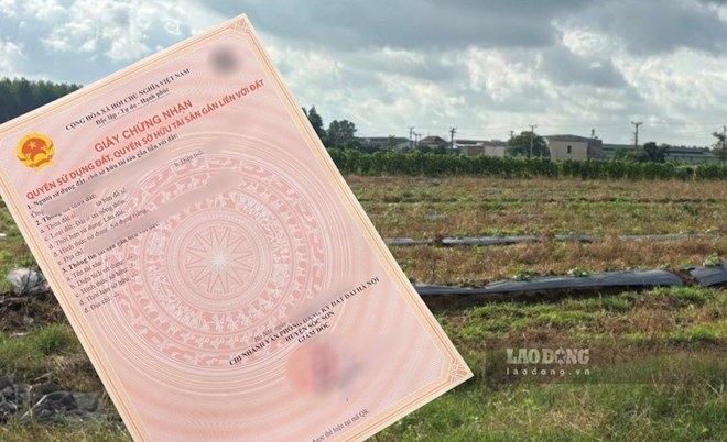 Quy định về việc áp dụng hạn mức đất ở đối với đất có ký hiệu chữ