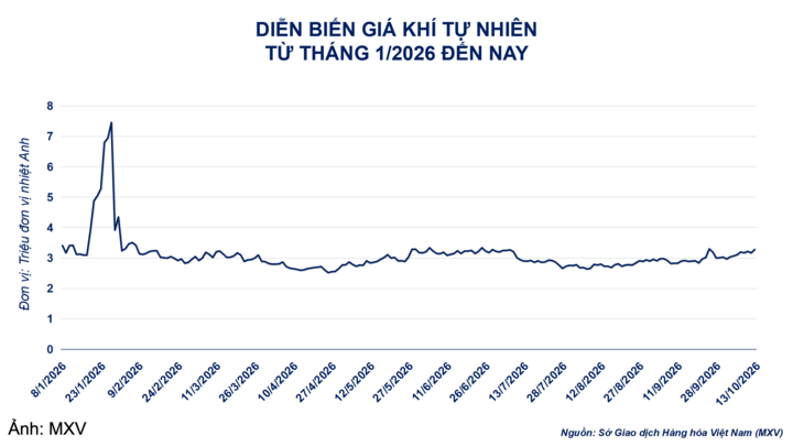 Diễn biến giá khí tự nhiên.