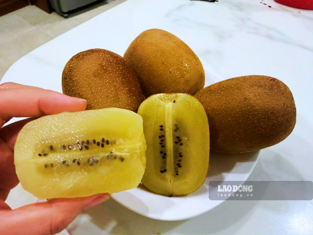 Quả kiwi tươi chứa nhiều Vitamin C và Magie giúp bảo vệ thành mạch và kiểm soát chỉ số huyết áp tâm thu. Ảnh: Trà My